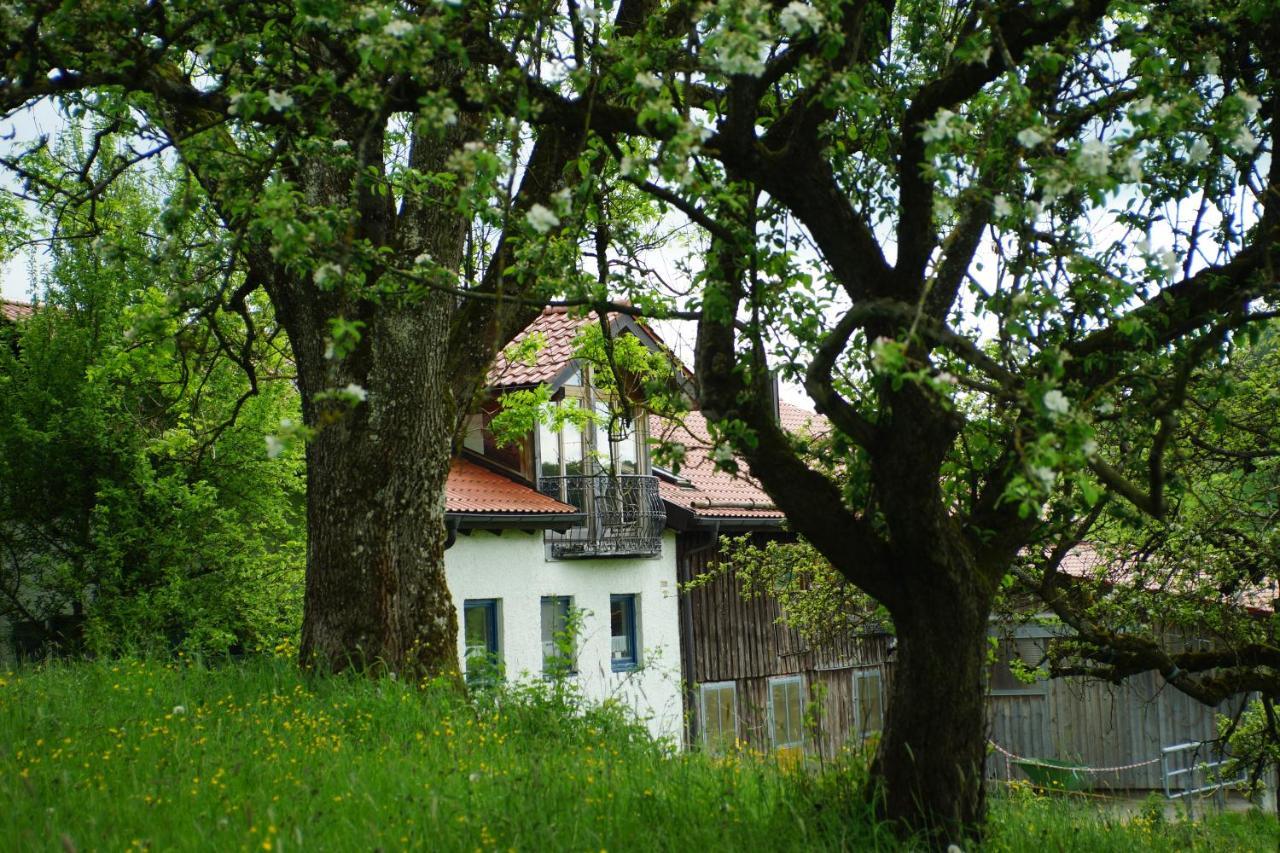 Moosmuehle Allgaeu Untrasried Exteriér fotografie